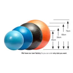 Ballon de Pilates/Salle de sport suisse épais et robuste de 45 cm/55 cm/65 cm/<span class=keywords><strong>75</strong></span> cm/85 cm - Product Image 1
