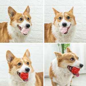 Yite Pet Supplies Solid Rubber Hexagonal <b>Ball</b> Interactive <b>Dog</b> Toy Pink Red Funny Bouncing Training Toy - Product Image 1