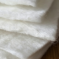 Geotextil de Filamento de Poliéster Continuo Spunbond de Alta Tenacidad para Uso Industrial, Ecológico y con Características Antienvejecimiento