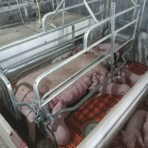 Caisses de mise bas PH PH-F1824 - Utilisation porcine - Fil d'acier à faible teneur en carbone Q235 - Durée de vie de 20 à 25 ans - Product Image 6