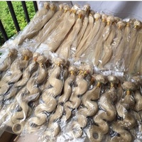 Ekstensi Rambut Manusia Lurus Alami Foxen Wholesale, Vendor Bundel Rambut dengan Pita Biru, Bundel Rambut Mentah Vietnam Warna Pirang 613