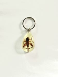 Porte-clés en résine de haute qualité, scintillant dans l'obscurité, porte-clé, cisaille, crabe, insecte rouge, pièces - Product Image 5