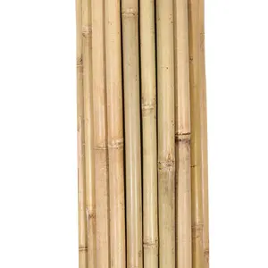 Ağaç korumaları için bambu direk 22-24mm,240cm