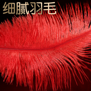 Bâtonnet à plumes Jiuai rouge, plumes douces pour les jeux coquins et érotiques, jouet pour adultes - Product Image 3