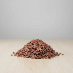 เมล็ดไซเลียมอิสับกอลธรรมชาติ สารสกัดจากพืชดิบ ปลูกแบบธรรมชาติ รับประทานได้ - Product Image 1