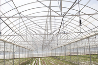 Serre Baolida à Grande Portée Unique 8x60m, Hauteur 3,5m avec Ventilation, Arche de 32mm, Raccords de Tuyaux Galvanisés – Direct Usine
