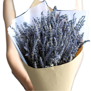 <span class=keywords><strong>Mini</strong></span> Gestamus Petite décoration de mariage <span class=keywords><strong>Bouquet</strong></span> de <span class=keywords><strong>fleurs</strong></span> <span class=keywords><strong>séchées</strong></span> avec boîte-cadeau Accessoires de maison et de tir pour mariages et événements - Product Image 1