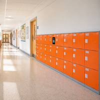 Casier intelligent Toppla moderne en plastique ABS pour lycée, casier de plage intelligent, casier de gym à empreinte digitale, armoire scolaire pour enfants