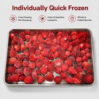 Diepvries aardbeien, geheel ontpit, bulk, diepvriesfruit, aangepaste verpakking voor bakken