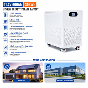 แบตเตอรี่เก็บพลังงานแสงอาทิตย์ ESG 51.2V 600Ah 30KWh พร้อมระบบตรวจสอบผ่าน WiFi ง่ายต่อการเปลี่ยนฟิวส์ และระบบ Smart BMS สำหรับสำรองไฟ - Product Image 1