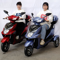 Scooter électrique à 3 roues tout-terrain, cyclomoteur électrique à 3 roues, tricycle électrique avec siège arrière