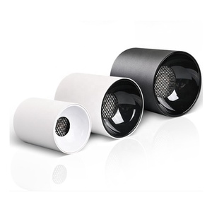 10w 15w 20w 30w 44w 50w 80W 100W IP65 plafonnier LED monté en surface 60w plafonnier haute luminosité ip66 - Product Image 1