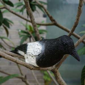 Plastica gazza richiami nero floccante gazze simulazione gazze di plastica statua all'aperto decorazione del giardino per tenere l'uccello lontano - Product Image 3