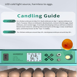 130 Trứng Màu Xanh Lá Cây Gia Cầm Trứng Lồng Ấp Hoàn toàn Tự Động Hatching Máy Cho Gà Vịt Ngỗng Chim Cút - Product Image 4