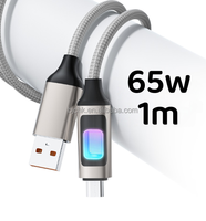 Nouvelle Veste en Nylon Lumineuse LED Colorée 2025 avec Câble de Charge Ultra-Rapide 65W 100W pour iPhone 16/17 Pro Max, Ordinateur et Imprimante