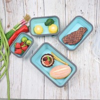 Boîte à lunch pliable et réutilisable écologique, boîte de rangement pour aliments bento en silicone, boîte de rangement pour aliments à pizza, lot de 4