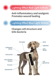 Hewan peliharaan infeksi bakteri protein anjing Kulit jamur dengan perawatan cahaya inframerah - Product Image 2