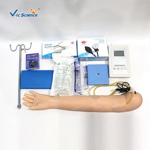 Geavanceerde Arm Bloeddrukmeting Trainingsmodel Voor Medische Wetenschap - Product Image 3