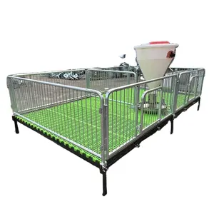 Swine Weaner House PVC Board Nursery Stall for Pig Farm