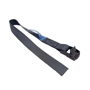 <span class=keywords><strong>FRIMA</strong></span> Venta al por mayor Capacidad 250kg 3m o correa de amarre de leva negra de longitud personalizada con hebilla recubierta negra - Product Image 2