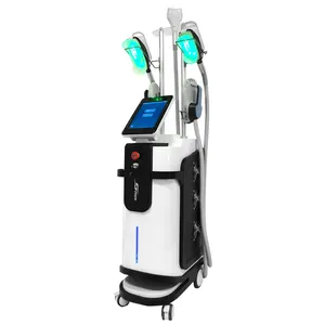 2 in 1 Cryo Ems dimagrante macchina per la rimozione della Cellulite Non invasiva 360 crio sottile grasso congelamento criolipolisi corpo scultura