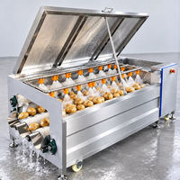 Wortelgroenten borstel- en schilapparatuur voor het wassen van aardappel, wortel, gember, yam, taro en cassave