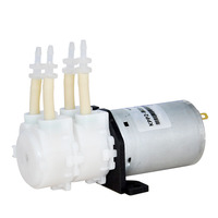 Mini pompe péristaltique KPP2, pompe doseuse 12V 24V DC, tube BPT, 2 têtes de pompe, analyseur chimique de laboratoire médical, codage jet d'encre