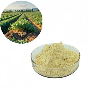 Factory Supply Peanut Shell Extract <strong>Luteolin</strong> 98% - Product Image 5