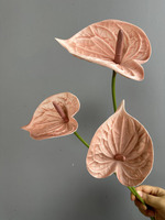 Fleur artificielle Anthurium en PU, faite à la main, résistante à la décoloration, au toucher réaliste, pour la décoration d'hôtel, la fête des mères et les remises de diplômes