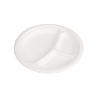 Plats et assiettes jetables prêts à expédier en fibre végétale 6/8/9/10 pouces 100% assiette de bagasse de canne à sucre biodégradable compostable