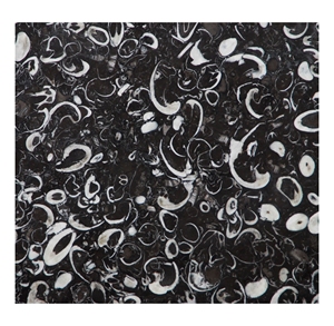 China Quarry Black Fossil Marble Slabs Black Color White Seashell Grains Marble Stone Countertop Customized