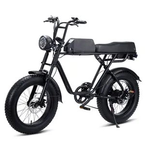 공장 7 속도 20 "전기 자전거 전자 자전거 알루미늄 프레임 750w 48v 전기 자전거 Ebike