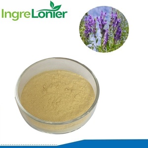 Tự nhiên chiết xuất thảo dược hộp sọ chiết xuất từ rễ <span class=keywords><strong>85</strong></span>% <span class=keywords><strong>baicalin</strong></span> bột <span class=keywords><strong>baicalin</strong></span> chiết xuất - Product Image 2