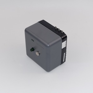 หัวเผาแก๊สแบบอิออนโพรบควบคุมหลัก รุ่น RA890F1304 220V วัสดุทองเหลือง น้ำหนัก 2.5 กก. - Product Image 4