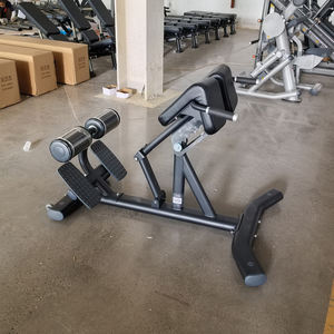 Chaise romaine d'<span class=keywords><strong>hyperextension</strong></span> pour la <span class=keywords><strong>musculation</strong></span>, banc de levage des fessiers et des ischio-jambiers, équipement de <span class=keywords><strong>musculation</strong></span> pour l'<span class=keywords><strong>hyperextension</strong></span> dorsale et les sit-ups - Product Image 2