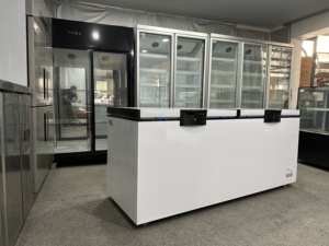 Congelador Horizontal Directo de Fábrica para Delicatessen y Supermercado, Congelador Expositor de Alimentos Congelados, Equipo para Restaurantes - Product Image 3
