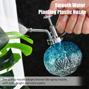 Vaporisateur en verre Mini Plant Mister Petit <span class=keywords><strong>arrosoir</strong></span> avec <span class=keywords><strong>pompe</strong></span> manuelle Pulvérisateur pour plantes d'intérieur et d'extérieur Fleurs Succulentes - Product Image 6