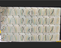 Mahjong de luxe moderne sur le thème des plages de la côte est, 160 pièces, en acrylique de haute qualité, design vie marine, pliable, portable, écologique