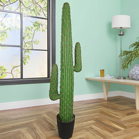 En Stock 143CM de hauteur en plastique herbe Cactus Design de luxe haute assurance Tropical artificiel PE Cactus pour paysage décoratif