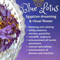 Sachet en vrac de fleurs de lotus bleues séchées naturelles, magnifiques et détoxifiantes, pour une peau éclatante (fleur individuelle)