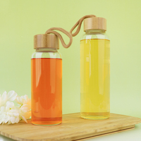 Bouteille d'eau en verre borosilicate incassable sans BPA de 16 oz et 34 oz avec poignée de randonnée et couvercle pour le camping et les activités de plein air – Offre Spéciale