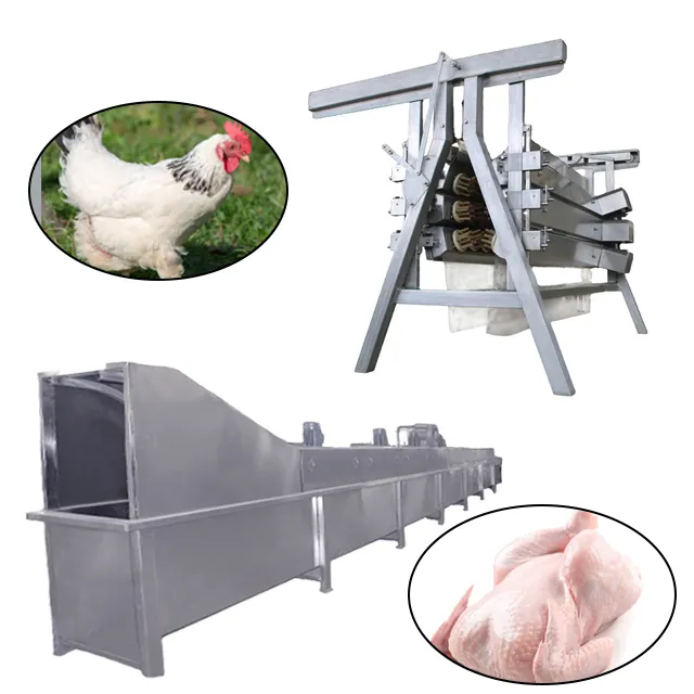 1000BPH Halal Small Poultry Slaughterhouse Manufacturer Chicken Slaughter Equipment Machine