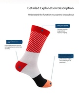 Chaussettes en gros pour hommes, motif saumon sushi, créatives, antibactériennes, respirantes, écologiques, en boîte, amusantes et aux couleurs assorties