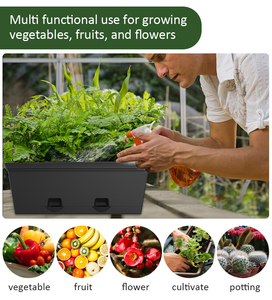 Balcony Porch Rectangle Window <strong>Box</strong> Grow Pot PP <strong>Plastic</strong> Fruits Vegetable Planting <strong>Box</strong> Herbs Seedling <strong>Planter</strong> - Product Image 5