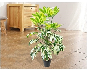 Planta verde en maceta <span class=keywords><strong>de</strong></span> plástico imitación bonsái árbol <span class=keywords><strong>Schefflera</strong></span> grande artificial al por mayor para la decoración del balcón del piso <span class=keywords><strong>de</strong></span> la Oficina <span class=keywords><strong>de</strong></span> la sala <span class=keywords><strong>de</strong></span> estar - Product Image 6