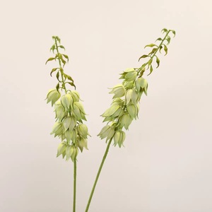 Lirios artificiales <span class=keywords><strong>de</strong></span> tacto real, hechos a mano, con tallo largo <span class=keywords><strong>de</strong></span> 84 cm, lirio <span class=keywords><strong>de</strong></span> seda artificial recubierto,  la decoración - Product Image 3