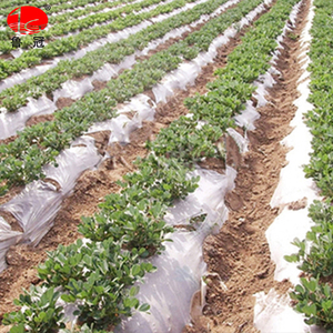 24 heures de Service Client En Ligne Invernadero <span class=keywords><strong>Agricole</strong></span> de Paillis En Plastique Argent <span class=keywords><strong>Noir</strong></span> <span class=keywords><strong>Film</strong></span> Couche de Paillis - Product Image 4