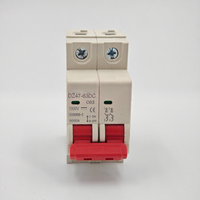 Interruptor Automático de Circuito de 2 Polos, 6A-63A, 220V CA, 50/60Hz, Tipo C, Capacidad de Ruptura de 6kA