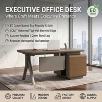 Style classique moderne, mobilier de bureau administratif pour directeur/PDG, qualité E0, bureau informatique avec plateau épaissi, bureau de direction