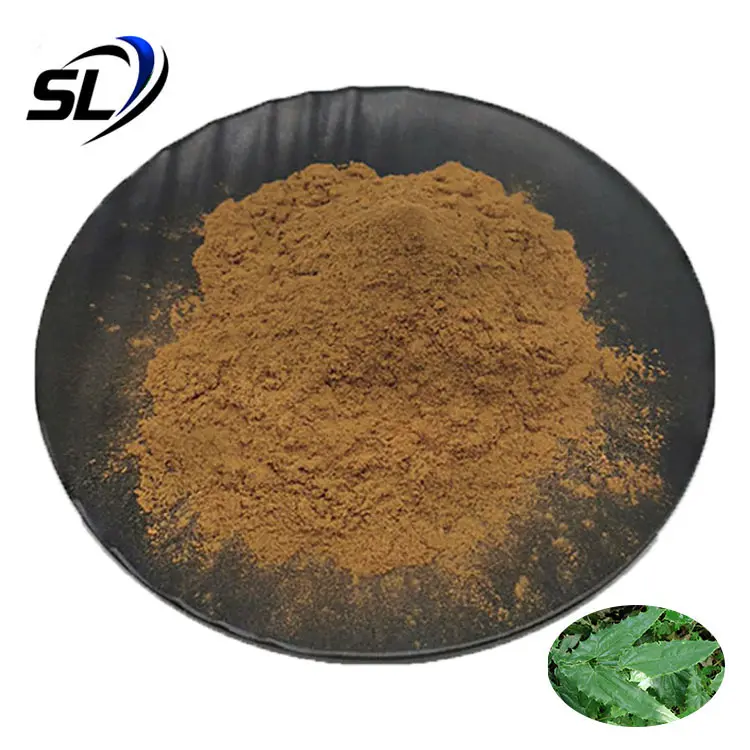 Icariin Horny Goat Weed Extract Powder Epimedium Extract Powder 10% Icariin Powder